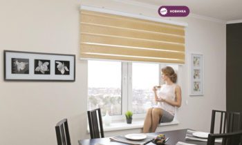 Фото рулонных штор CLIC BOX DUO торговой марки FOROOM
